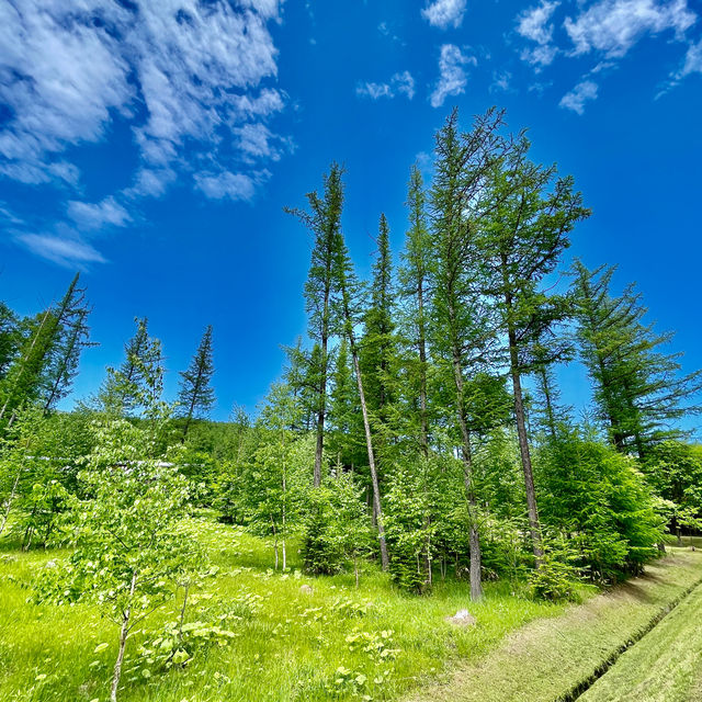 Kanayamako RV Park: Nature's Retreat