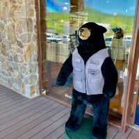 Gateway to Furano's Scenic Wonders 