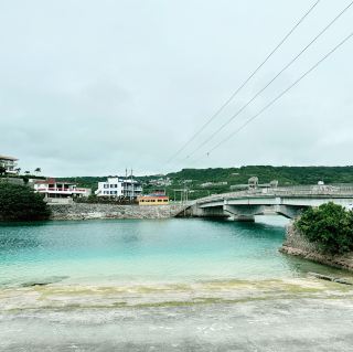 A Must-Visit for Cat Lovers in Okinawa: Half-Day Tour of Ojima Island