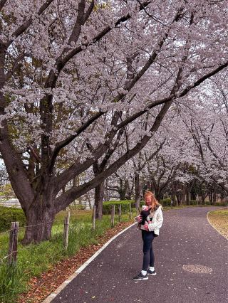 Hidden sakura park away from the Tokyo crowds