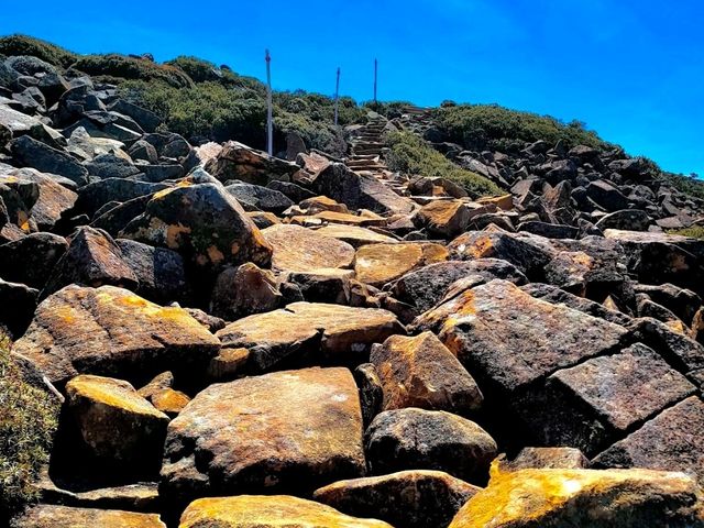 Ben Lomond National Park