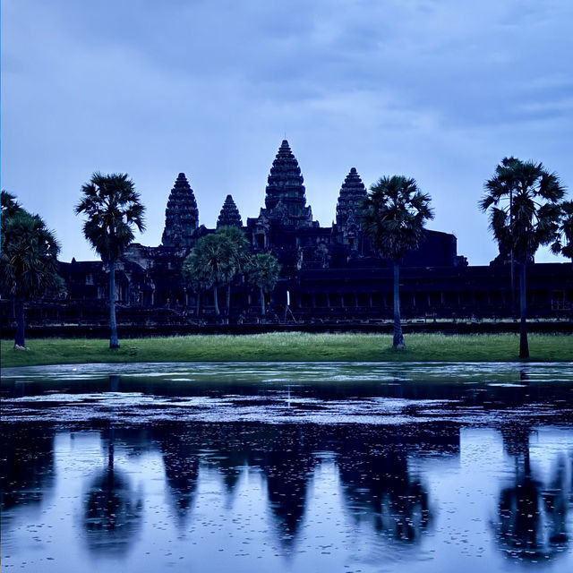 Angkor Wat : Timeless elegance
