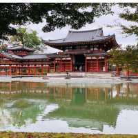【京都観光】世界文化遺産
