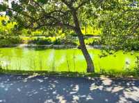 Punggol Waterway Park