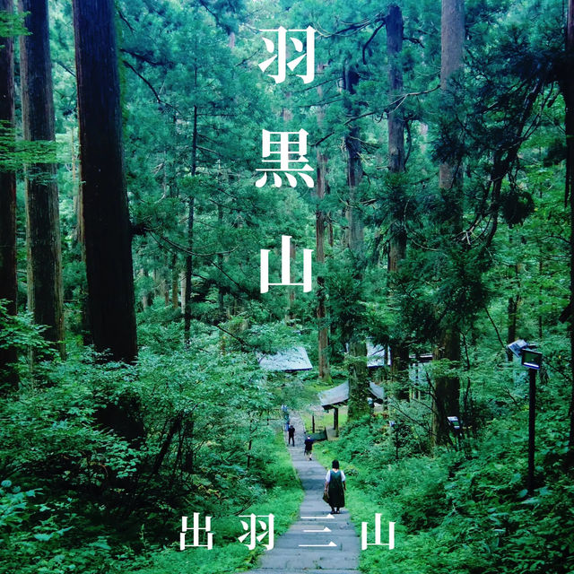 【出羽三山】羽黒山を巡りよみがえりを祈るリトリートの旅へ⛰
