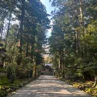 穏やかな気持ちになれる【弥彦神社】