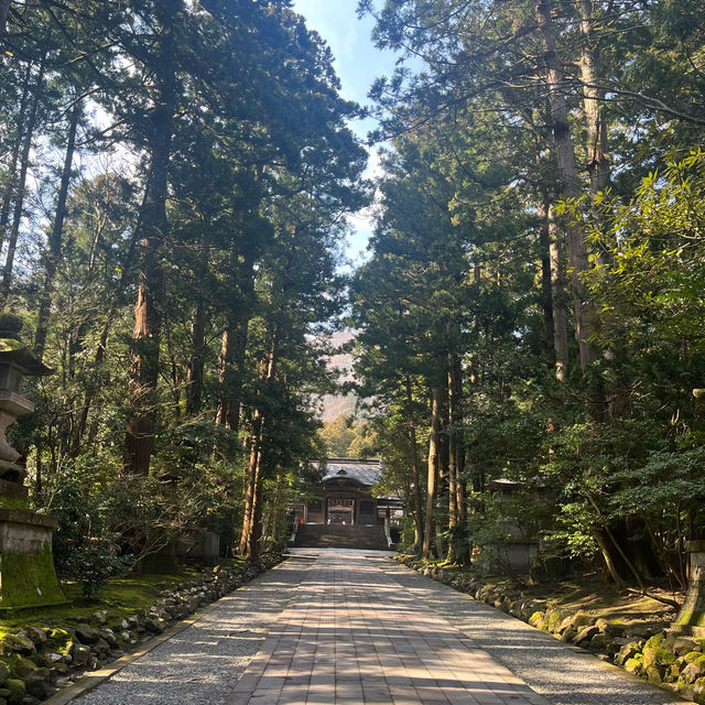 穏やかな気持ちになれる【弥彦神社】