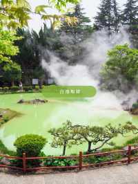 【 大分 別府 】一生に一度は行きたい有名温泉地徹底解説♨️