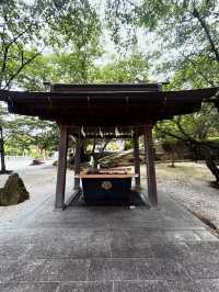 【北九州】水無月花手水あじさいがきれい『日峯神社』