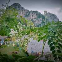 วู้ดเฮาส์ เขาฉกรรจ์ จ.สระแก้ว