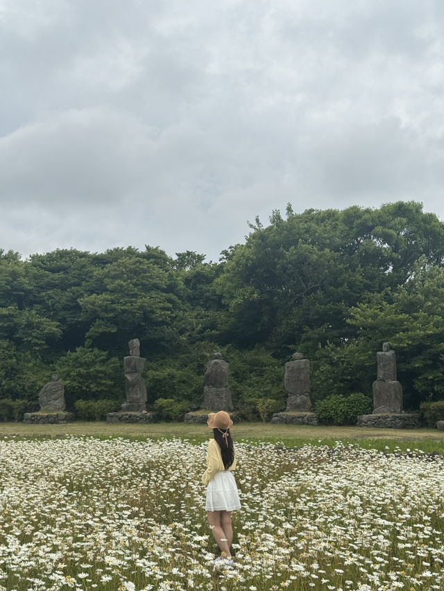 구경거리 포토스팟이 가득한 제주 동쪽 돌문화공원 ✨