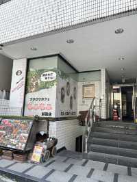 新宿貓頭鷹咖啡廳🦉，超過10隻貓頭鷹🦉等你來！