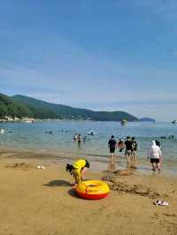 수영하기 좋은 거제 와현해수욕장🏖
