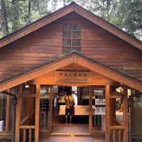 Alishan Taiwan