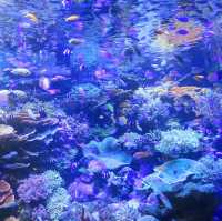 名古屋港水族館