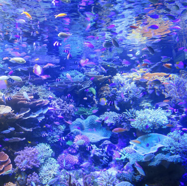名古屋港水族館