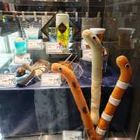 日本東京「墨田水族館」