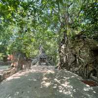 เดินลอดซุ้มประตูโพธิ์