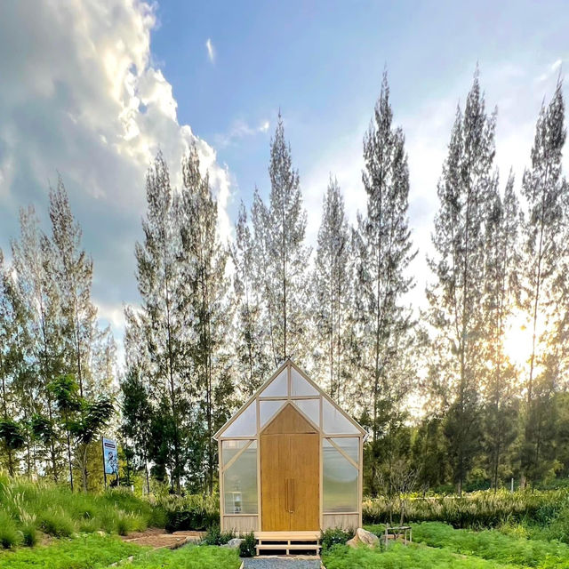 ห้องพักสไตล์แคมป์ปิ้ง 🌳 SOL Glamping Khaoyai