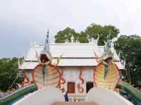 สักการะขอพรลอดพญาเต่า วัดหนองจับเต่า