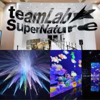 澳門永利皇宮 teamLab 藝術展：互動夢幻景象，適合親子同遊