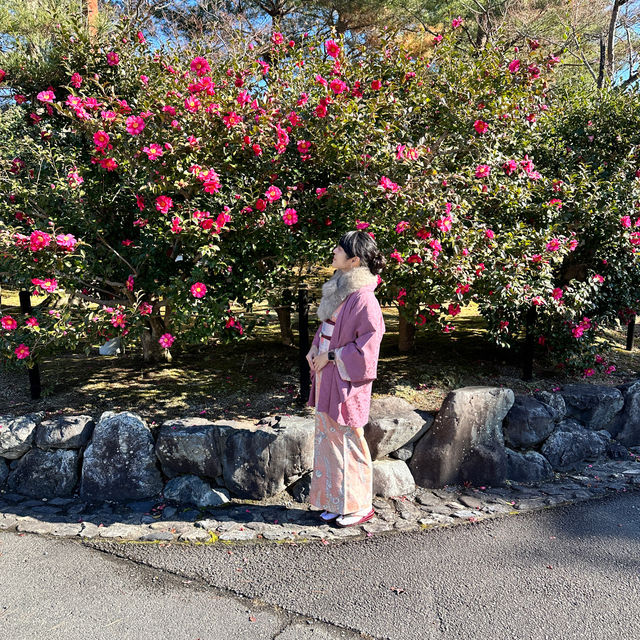 〜京都府〜人気スポット嵐山の世界遺産！天龍寺！