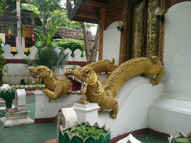 ฝึกจิตให้สงบ @วัดอุโมงค์มหาเถรจันทร์