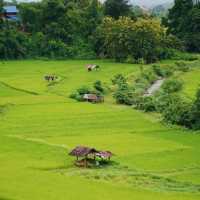 ฟาร์มเห็ดบ้านหัวน้ำ - ชมวิว ชิมพิซซ่าเห็ดโฮมเมด