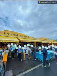 【日帰り】忙しい人でも行けちゃう🎶グルメ！観光！体験！全部楽しめる茨城満喫プラン🥳💞【弾丸旅行】