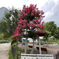 【東京】二子玉川公園　再訪