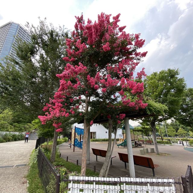 【東京】二子玉川公園　再訪