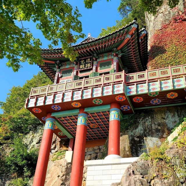구례에 가신다면