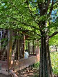 가족들과 여름휴가 가기 좋은 전주 수목원😄