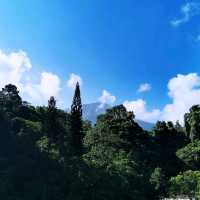 關子嶺富野溫泉會館