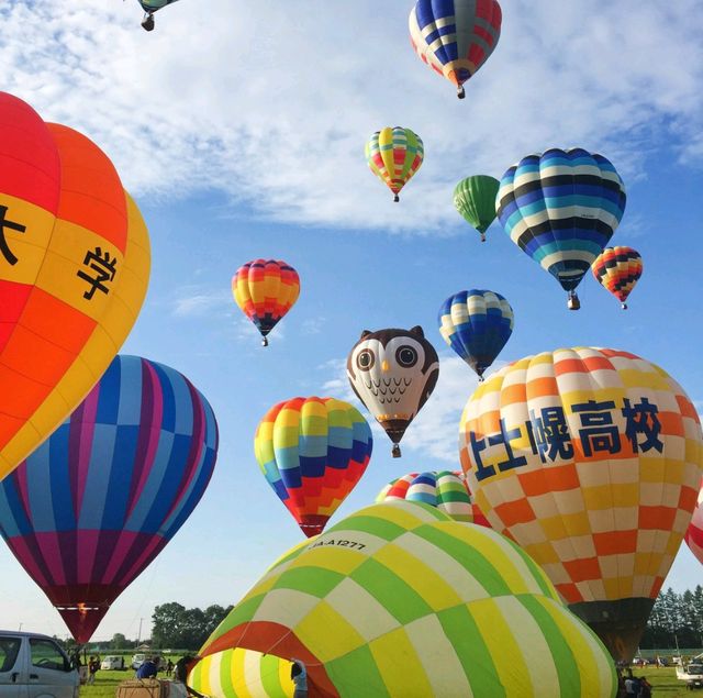 夏のイベント⛱️北海道バルーンフェスティバル