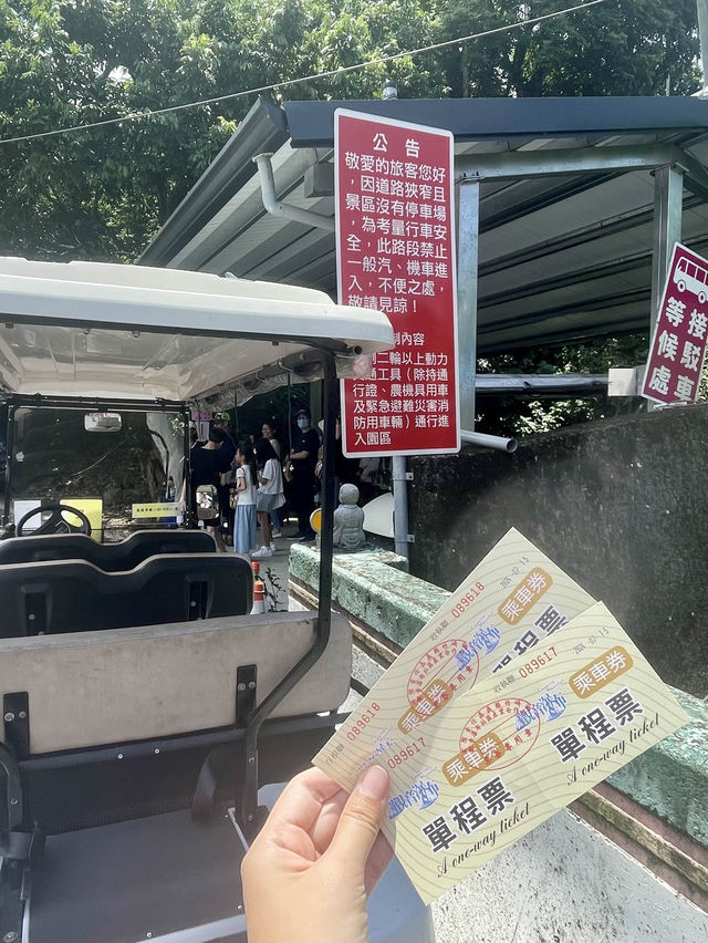 嘉義步道～滿滿芬多精！