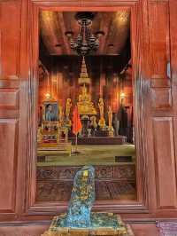 วัดป่าคลอง ๑๑ 🙏 