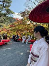 〜京都府〜紅葉の名所永観堂(えいかんどう)