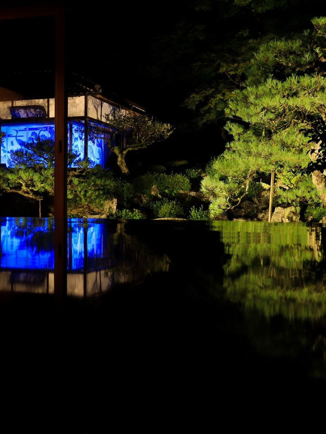 〜滋賀県〜幻想的！アートなお寺青岸寺ライトアップ