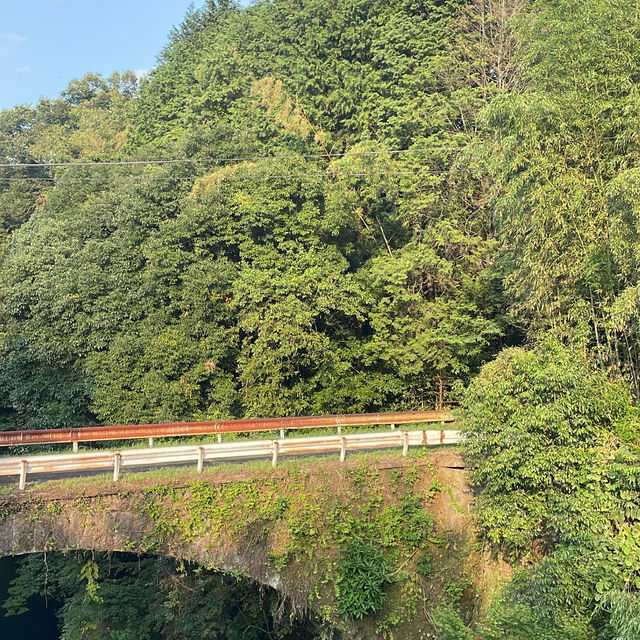 Want to escape the city ? 