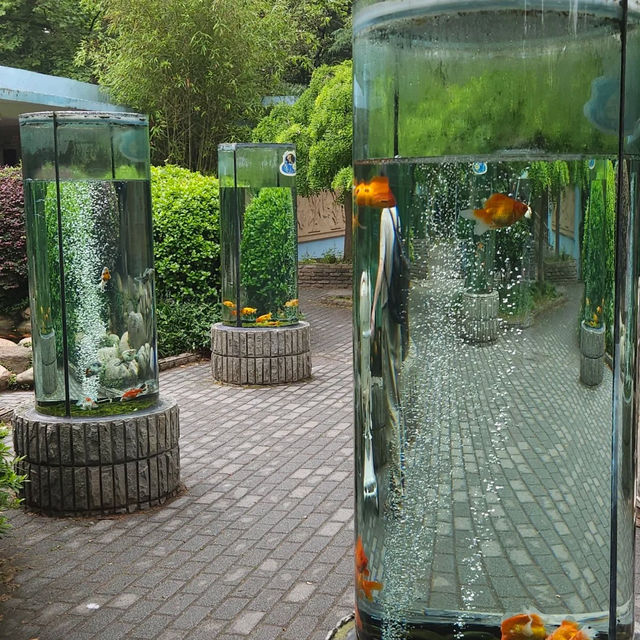 「娜麗公園：綠意盎然、錦鯉池美麗景緻，享受天然氧吧」