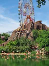 เที่ยวสวนสนุก Win Wonder Nhatrang🎪