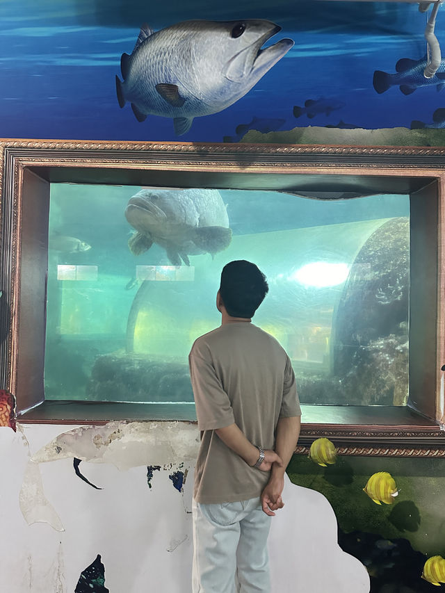 พาแม่เที่ยวอควาเรียม… ดูปลาตัวใหญ่ 🐋🪼✨