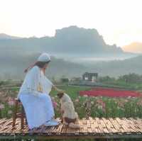 ไร่ภูผาหมวก ที่พักแสนสงบกลางทุ่งดอกไม้และสายหมอก