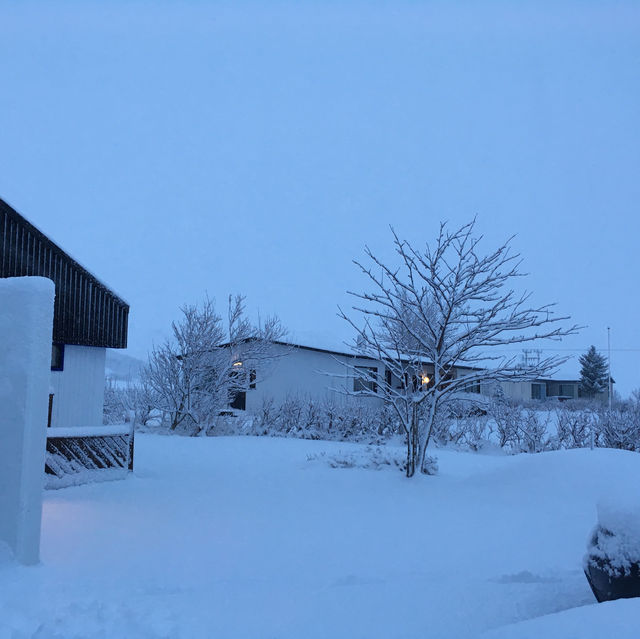 🇮🇸環遊世界｜ㄧ生必看冰島極光