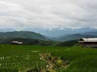 บ้านป่าบงเปียง