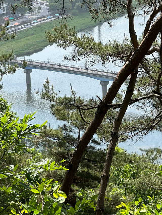 여름의 등산 코스 🌞 아름다운 산수강산 풍경을 보실 수 있는 등산여행지