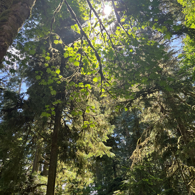 Whispers with giants! 