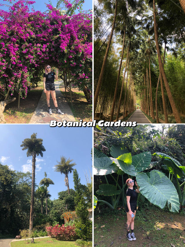 Best Things To Do in Xishuangbanna, Yunnan 🇨🇳 Best Things To Do in Xishuangbanna, Yunnan 🇨🇳
