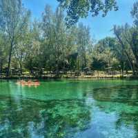 Jacks Lake：湖光山色淨土，享受大自然之美
